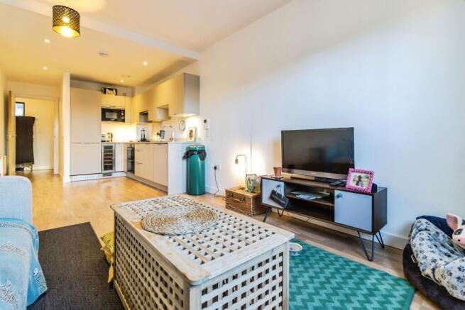 Living Area/Kitchen
