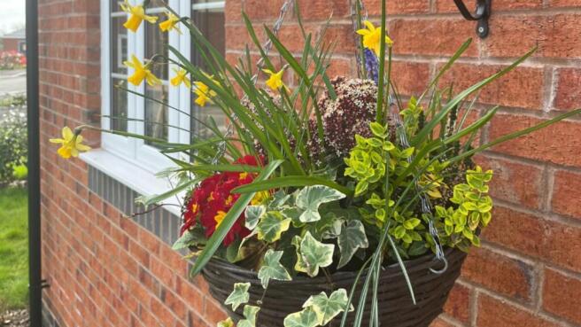 Appledore Slider 1.jpg