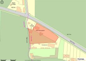 Promap-3149783-3246944-750-0.jpg