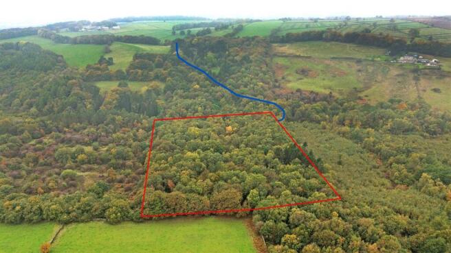 Boundary Line w row.jpg