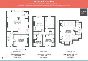 Bigwood Avenue - V2.jpg