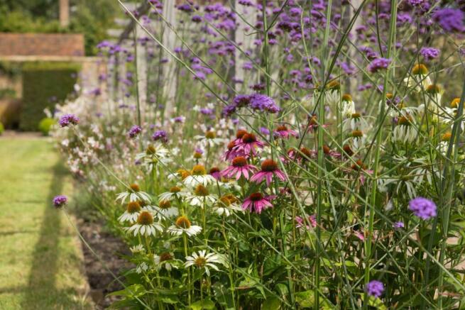 Garden flower borders