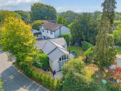 Matching Green, Harlow