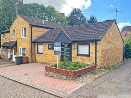 Linnet, Orton Wistow, Peterborough