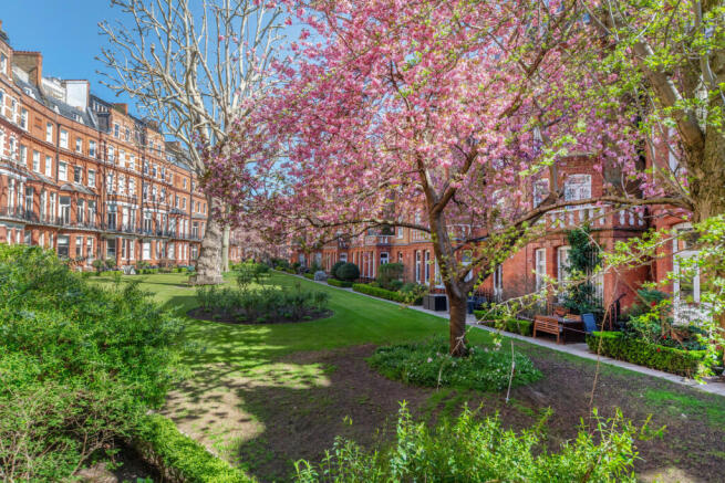Communal Garden