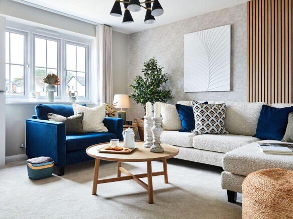 NMACC_BOVIS_HAZEL_002