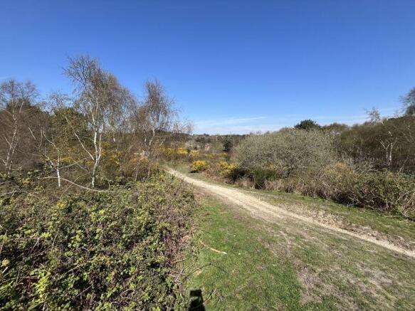 Upton Heath
