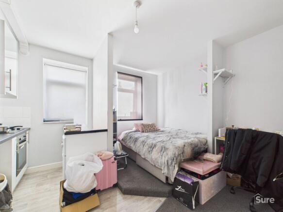Lounge/Kitchen/Bedroom