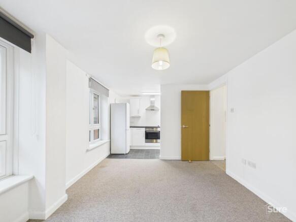 Living Room and Kitchen Area