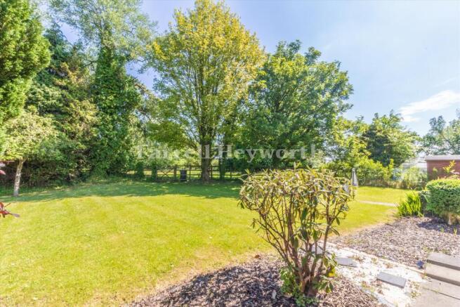 Garden New image 2