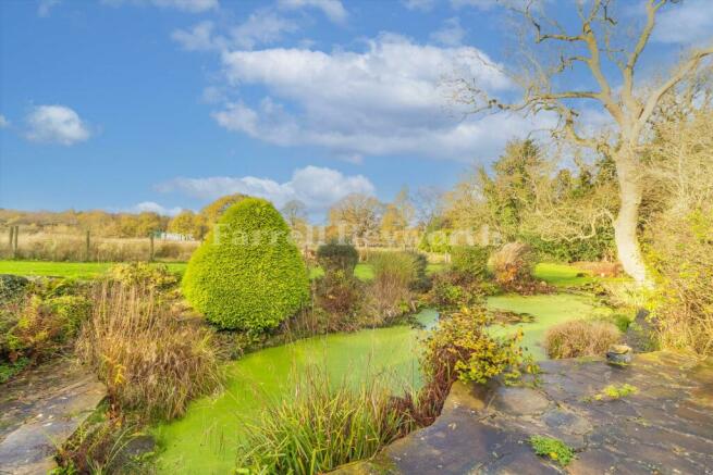 Garden Pond view 2