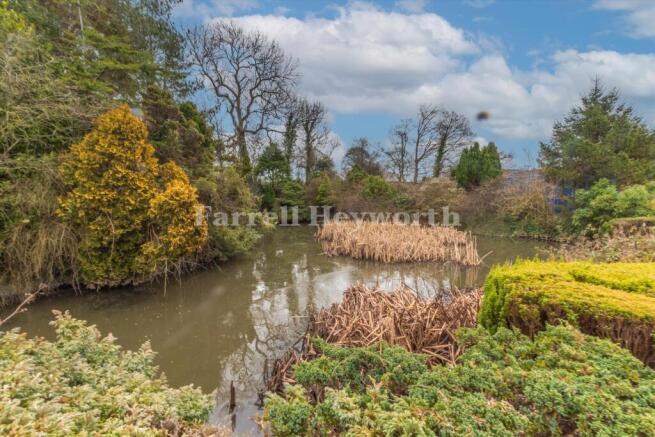 Adjacent Pond