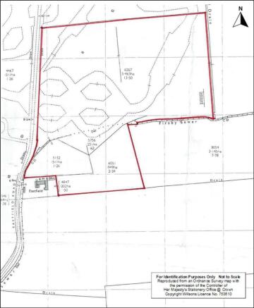 Plan - Firsby.jpg