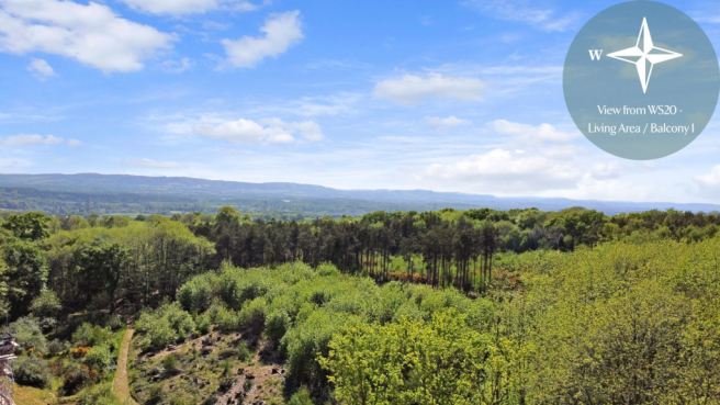 View from WS20