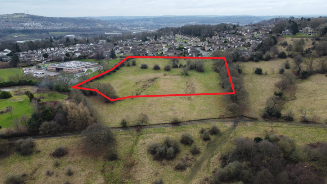 Red Edged Aerial