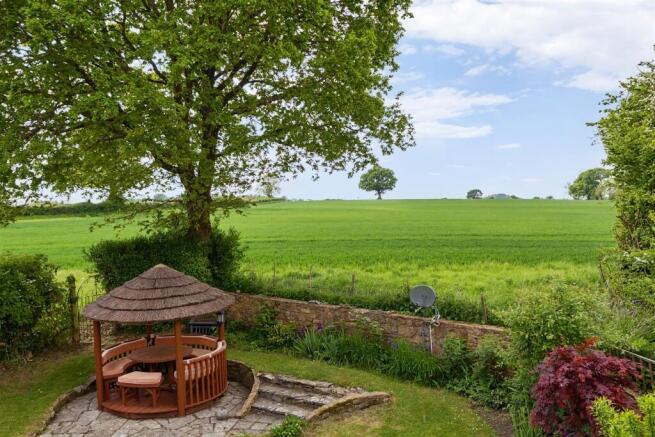 Garden and View