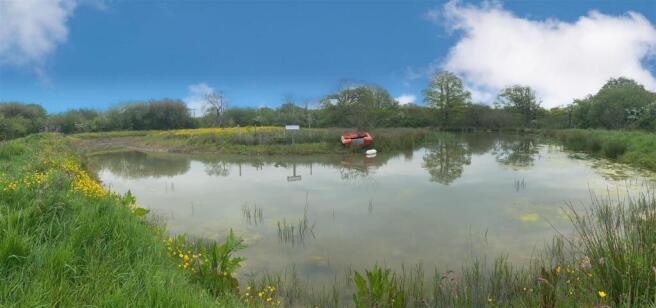 Owl Farm - Wetland.jpg