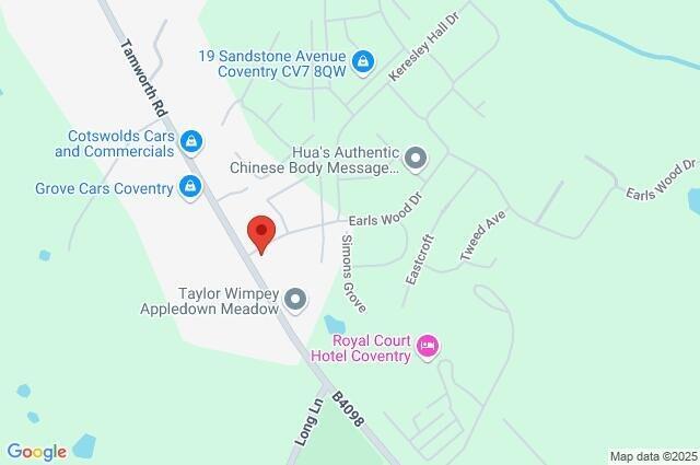 Google Maps Image