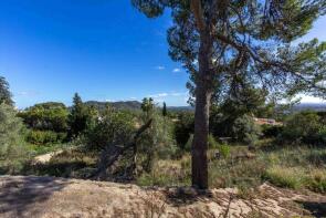 Photo of Balearic Islands, Mallorca, Inca