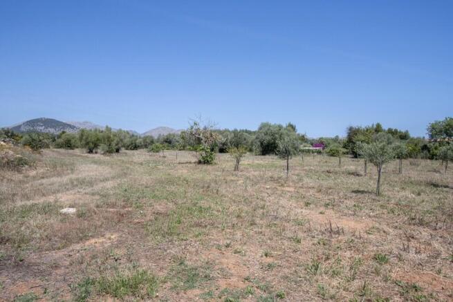 Finca Living-1