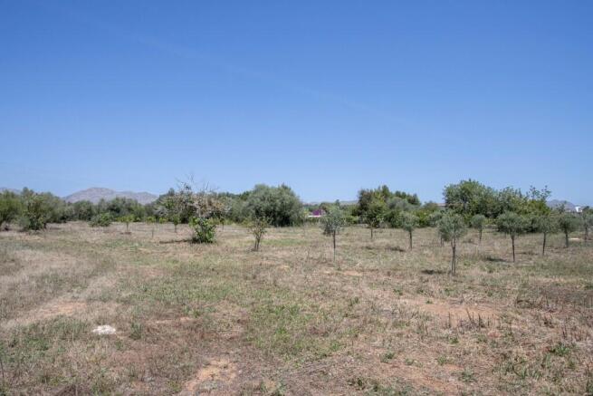 Finca Living-3
