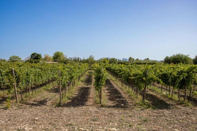 fiinca xanet exterio