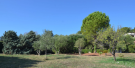 Land for sale in Grasse, Alpes-Maritimes...