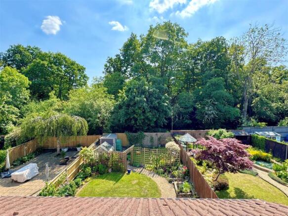 garden 6.jpg