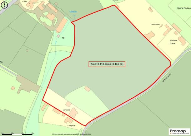 Prom Map
