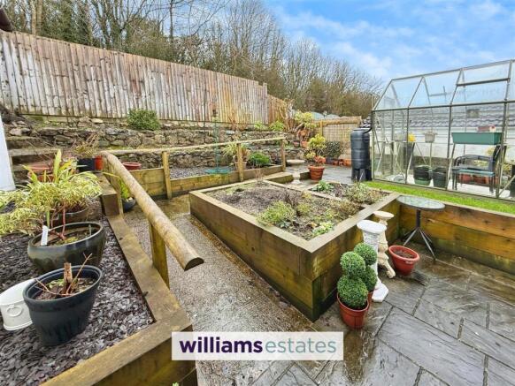 Back Garden