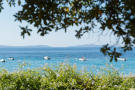 property for sale in RAYOL CANADEL SUR MER, Provence Coast (Cassis to Cavalaire), Provence - Var,