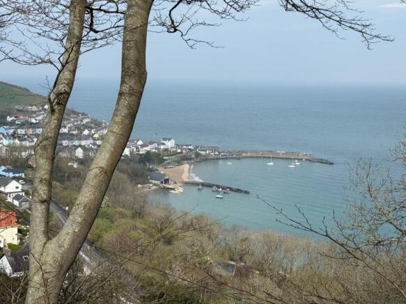 (View)