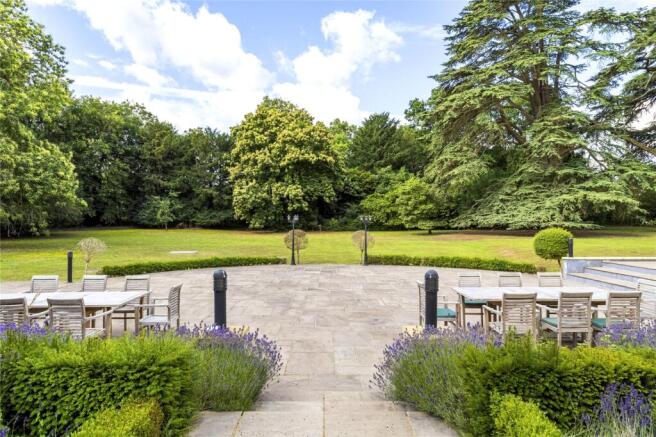 Mature Grounds