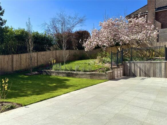 Limewood