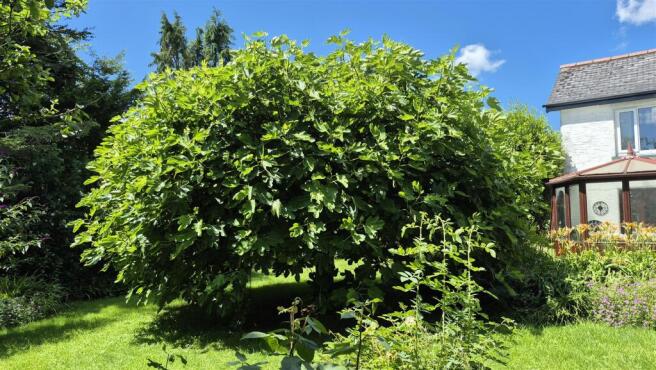 2025-07-10 13.12.35.jpg