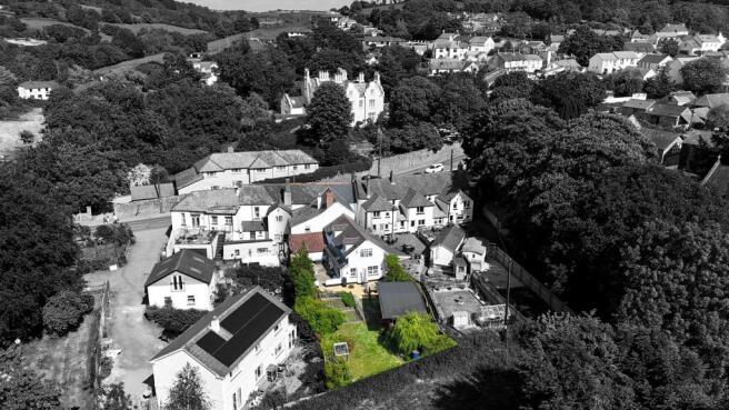 Bushens Black & White.jpg