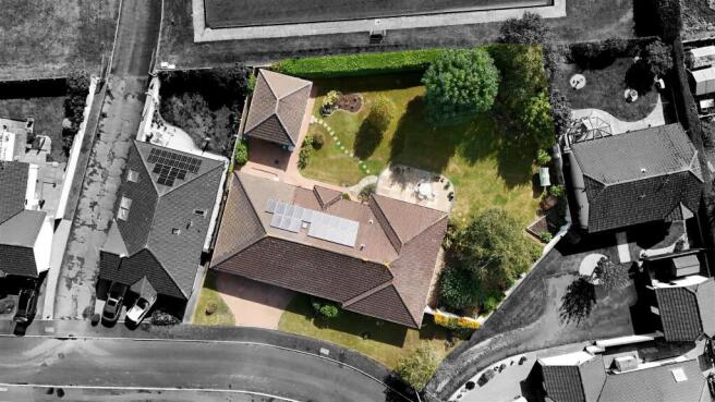Birds Eye-3.jpg