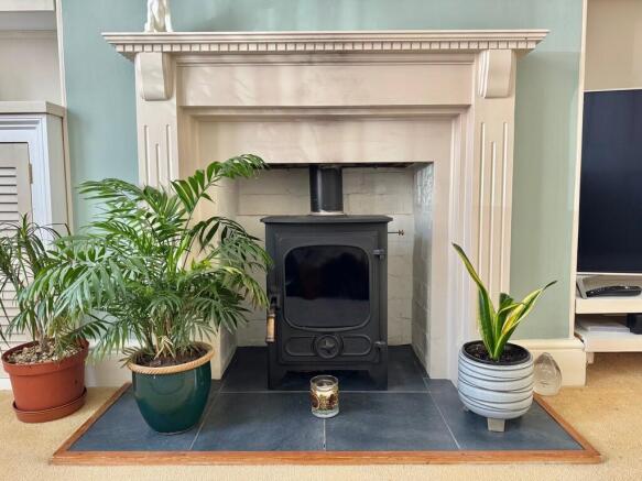 fireplace in loun...