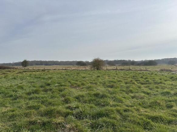 Land