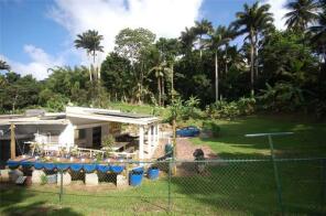 Photo of Tree House, Chimborazo, St. Joseph, Barbados