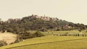 Photo of Montepulciano Vineyard Estate, Montepulciano, Tuscany