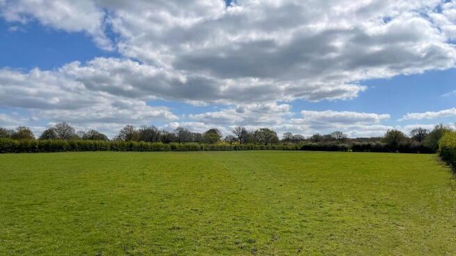 Flat pasture land.