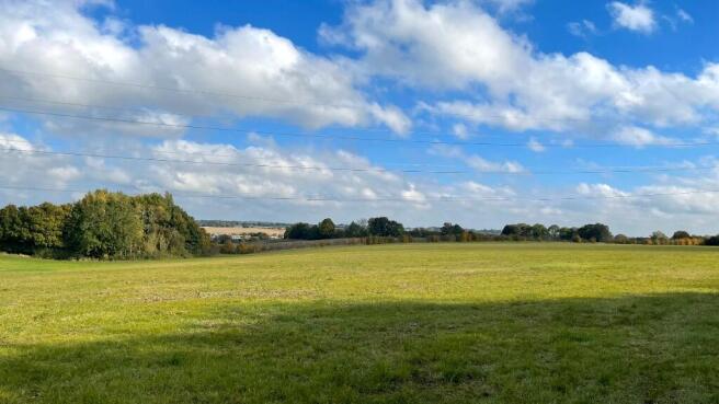 Spring Paddock.
