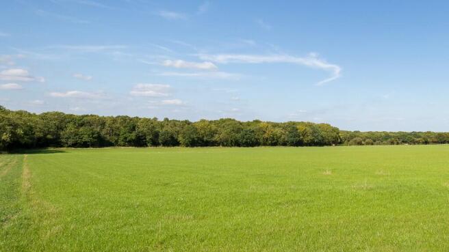 Flat pasture land.