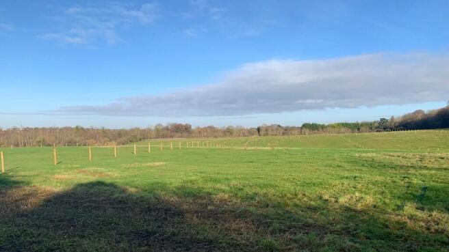 Pasture land.