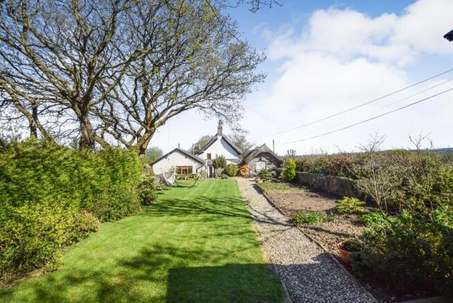 Lovely garden
