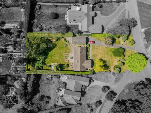 DJI_0984.jpg