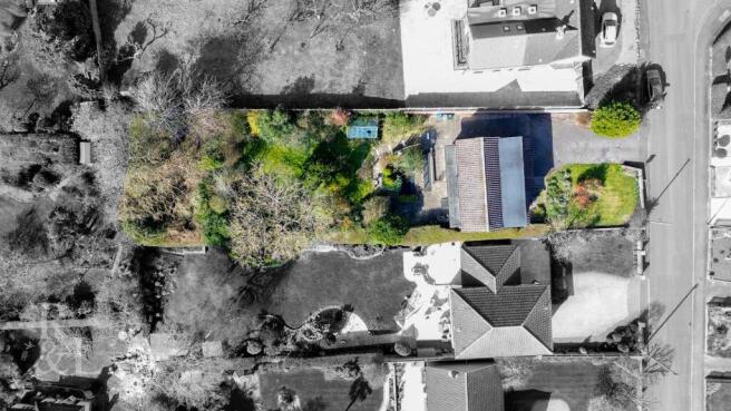 DJI_0920.jpg