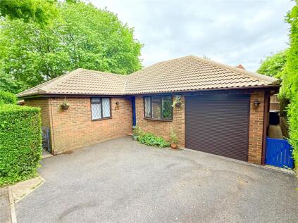 Mountain Ash, Marlow Bottom, SL7