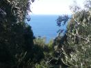 Land in Afionas, Corfu for sale